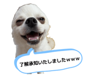 874008966
