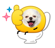 874008967