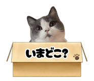 874013146