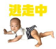 874040104