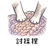 874043156