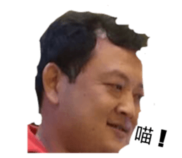 87404567