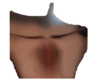 874046445