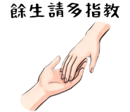 874063813