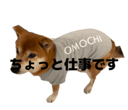 874082811