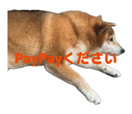 874082815
