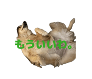 874082820