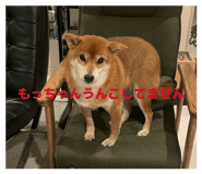 874082824