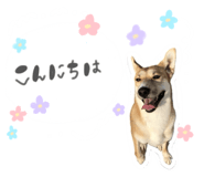874083434