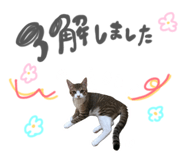 874083441