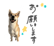 874083442