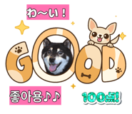 874084725
