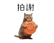 874085740