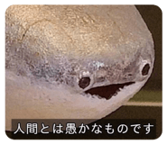 874096019
