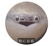 874096020