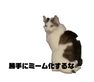 874096021
