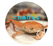 874096023