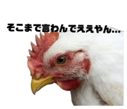 874101234