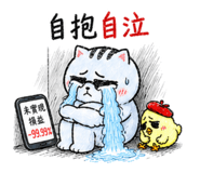 874115767