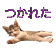874129561
