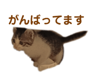 874129563