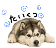 874144049