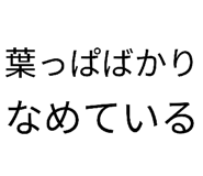 874177793