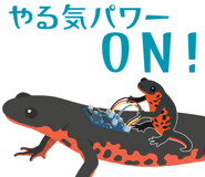 874199494
