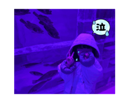 874211744
