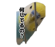 874216210