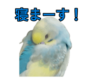 874216212