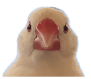 874226996