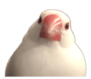 874226997