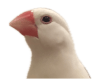 874226998