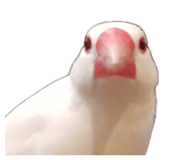 874226999