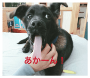 874243386
