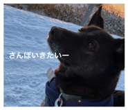 874243401