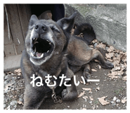 874243408