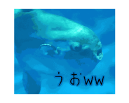 874251801