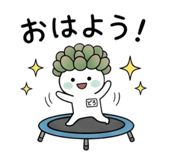 874253317