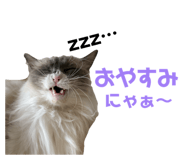 874253876