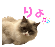 874253877