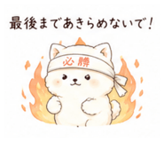 874253997