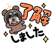 874254649