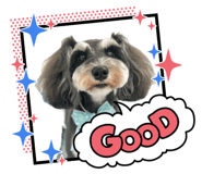 874254655