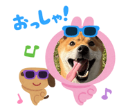 874255788