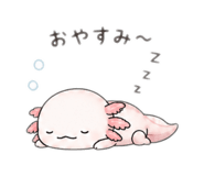 874256566