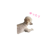 874262534