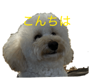 874262549