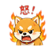 874263508